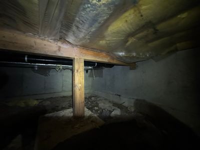 Mold Remediation (Basement) using Home Guarantee