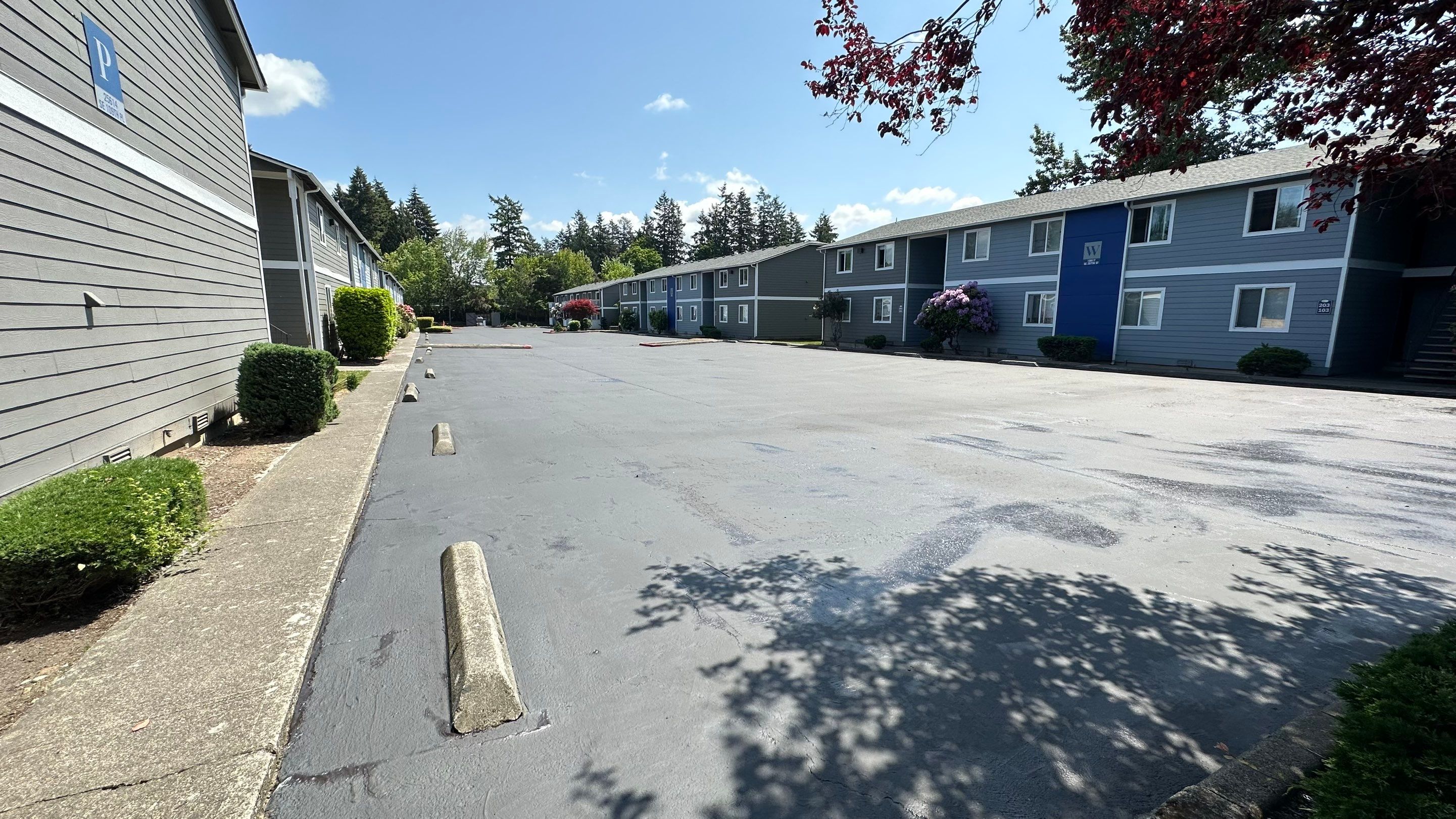 Chaz | Driveway Repave, Asphalt Project  by Jireh Asphalt & Concrete Inc 