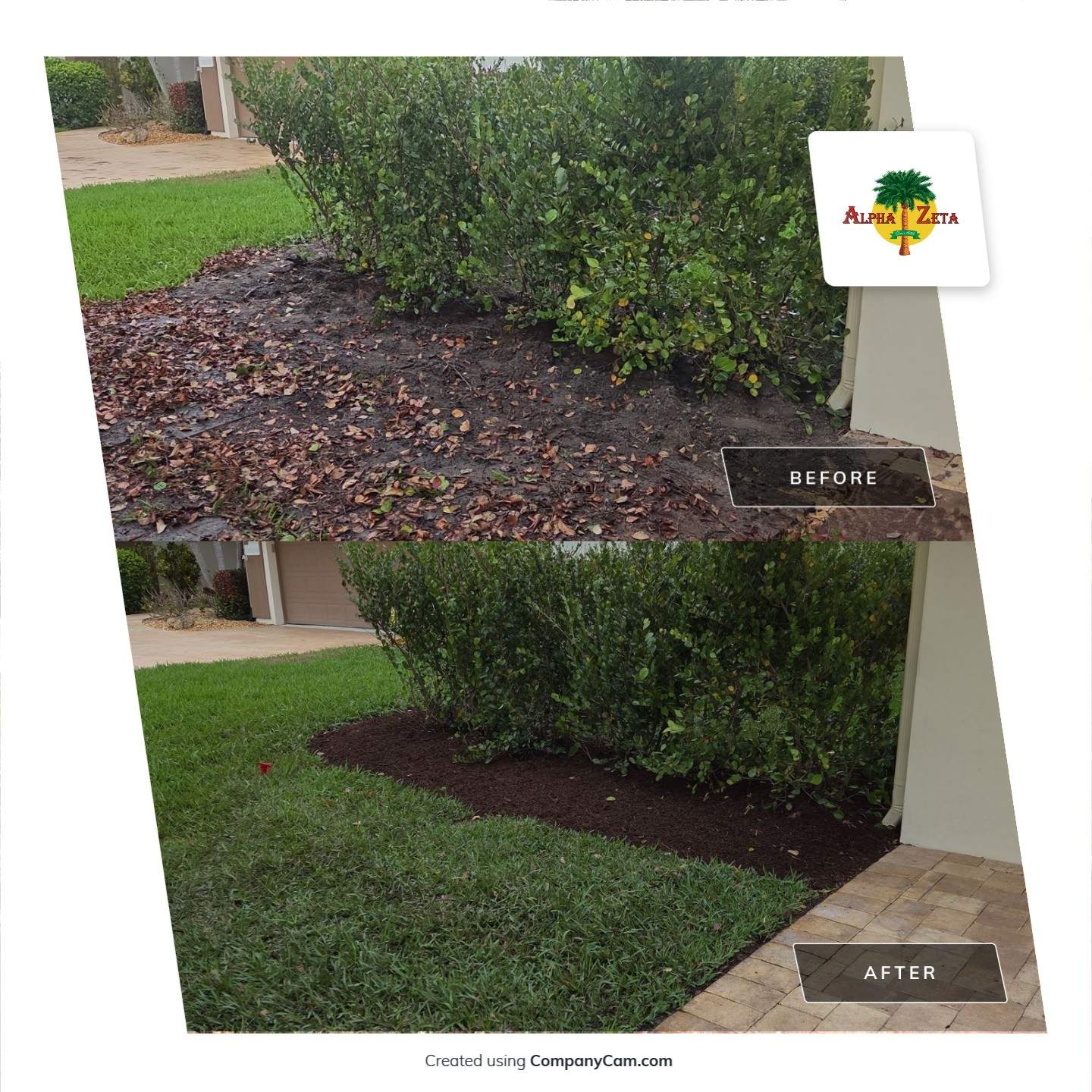 Pipers Landing Hedge Revival by Alpha Zeta Enterprises Inc