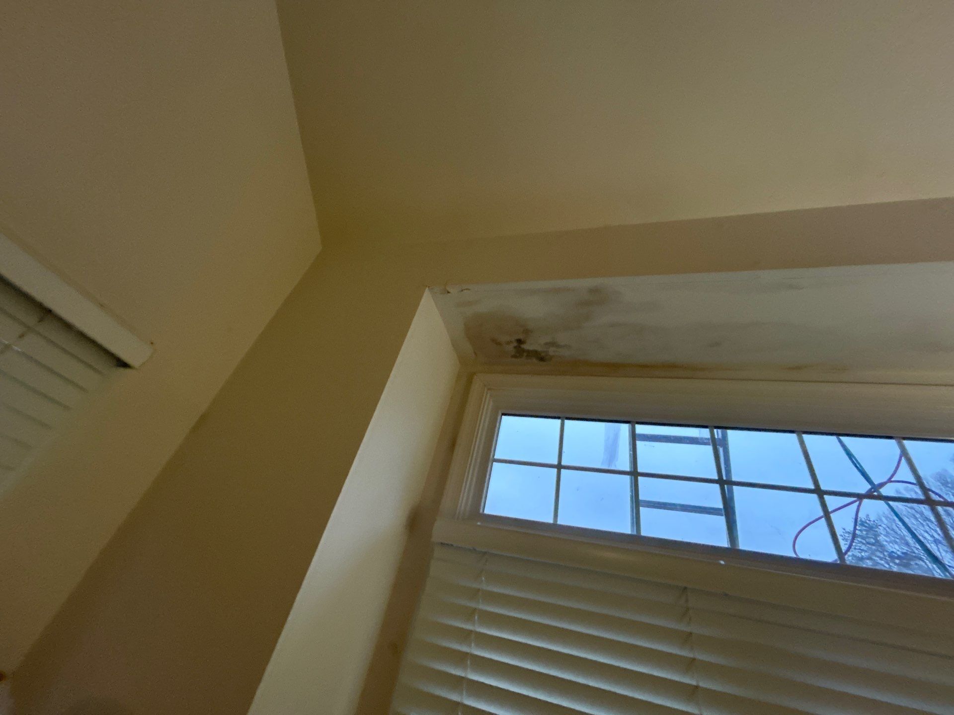 Reston :  Residential Roof Replacement with Brava Synthetic Cedar Shake Class C Natural  by RM Banning, Inc.