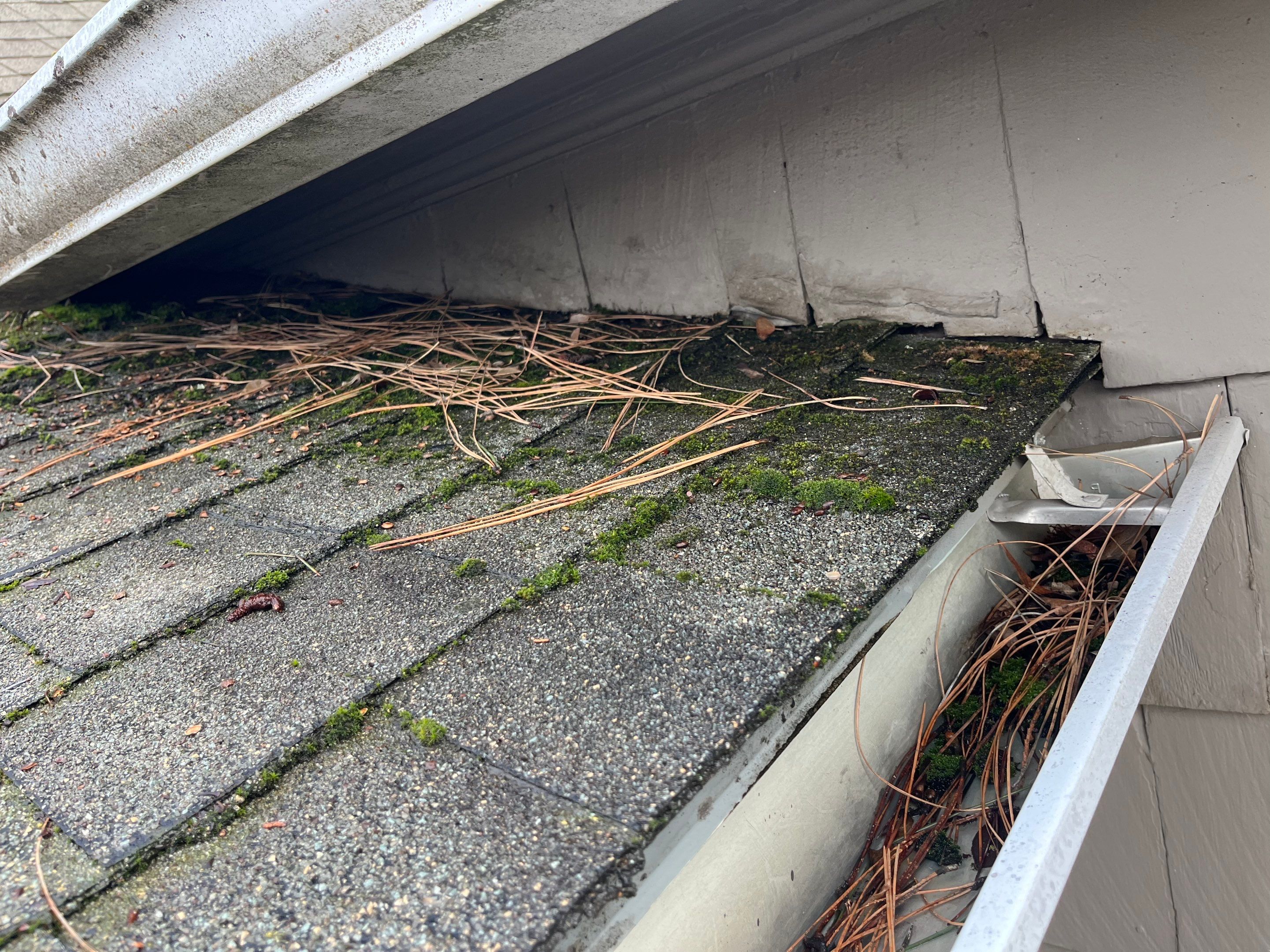 Project in Spokane by Connolly Construction Company