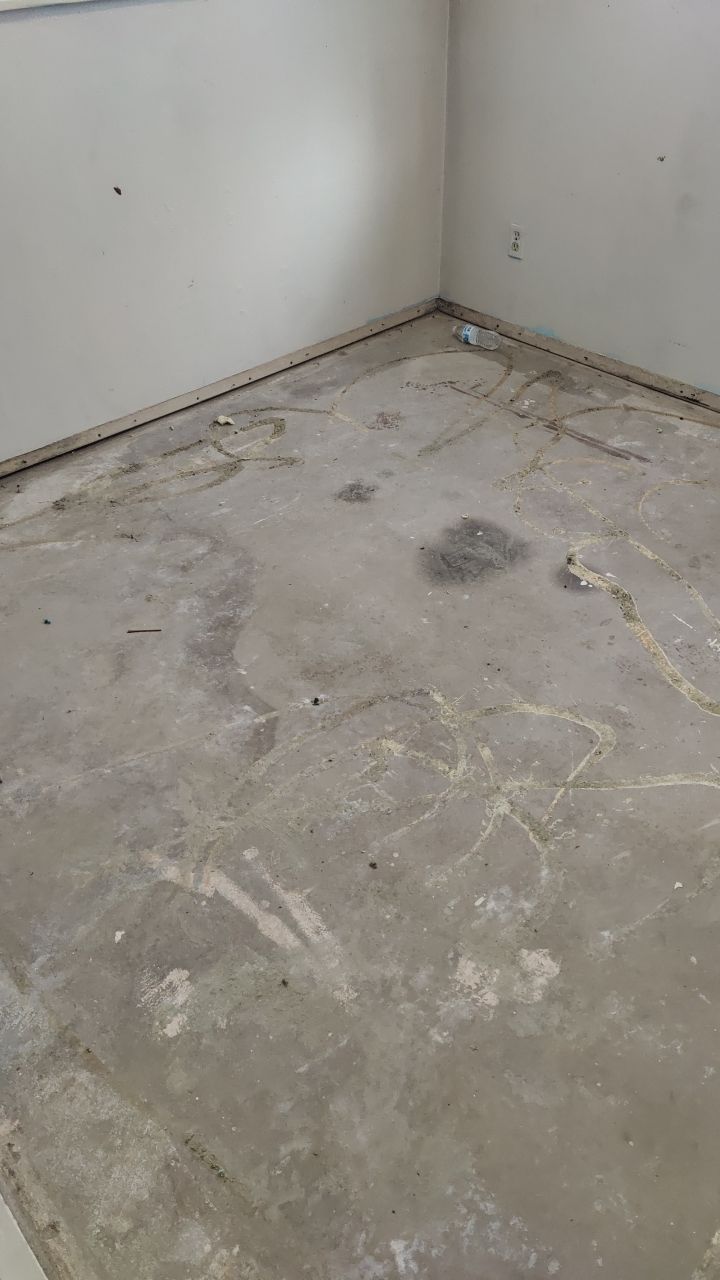 Mold Remediation by Accountable Home Services