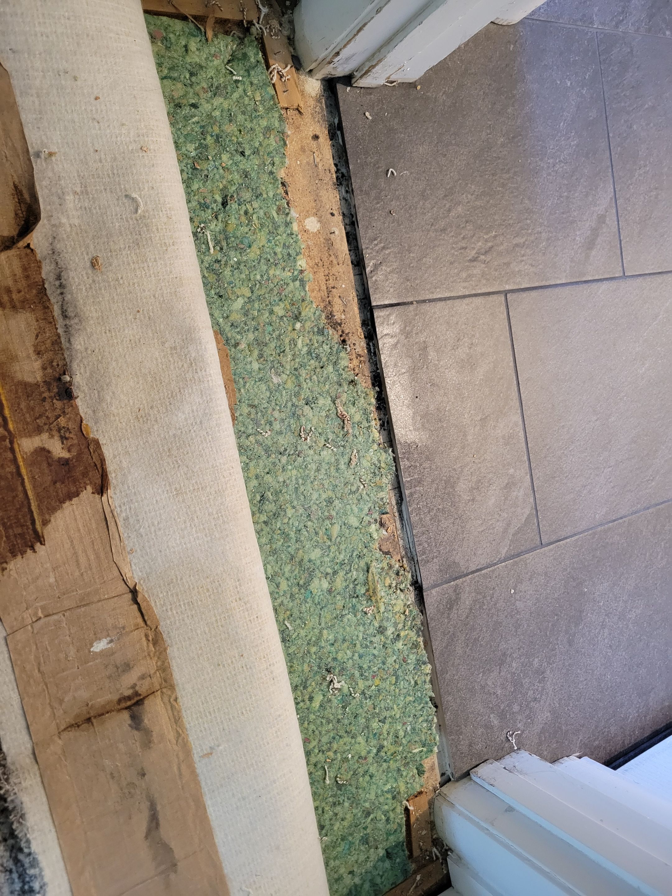 Carpet to Tile Transitions for New Flooring by Ardent Carpet Restore LLC