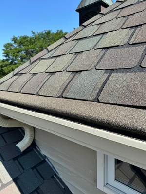 Turtle Shell gutter protection installation in St. Charles, IL 60174, photograph 31
