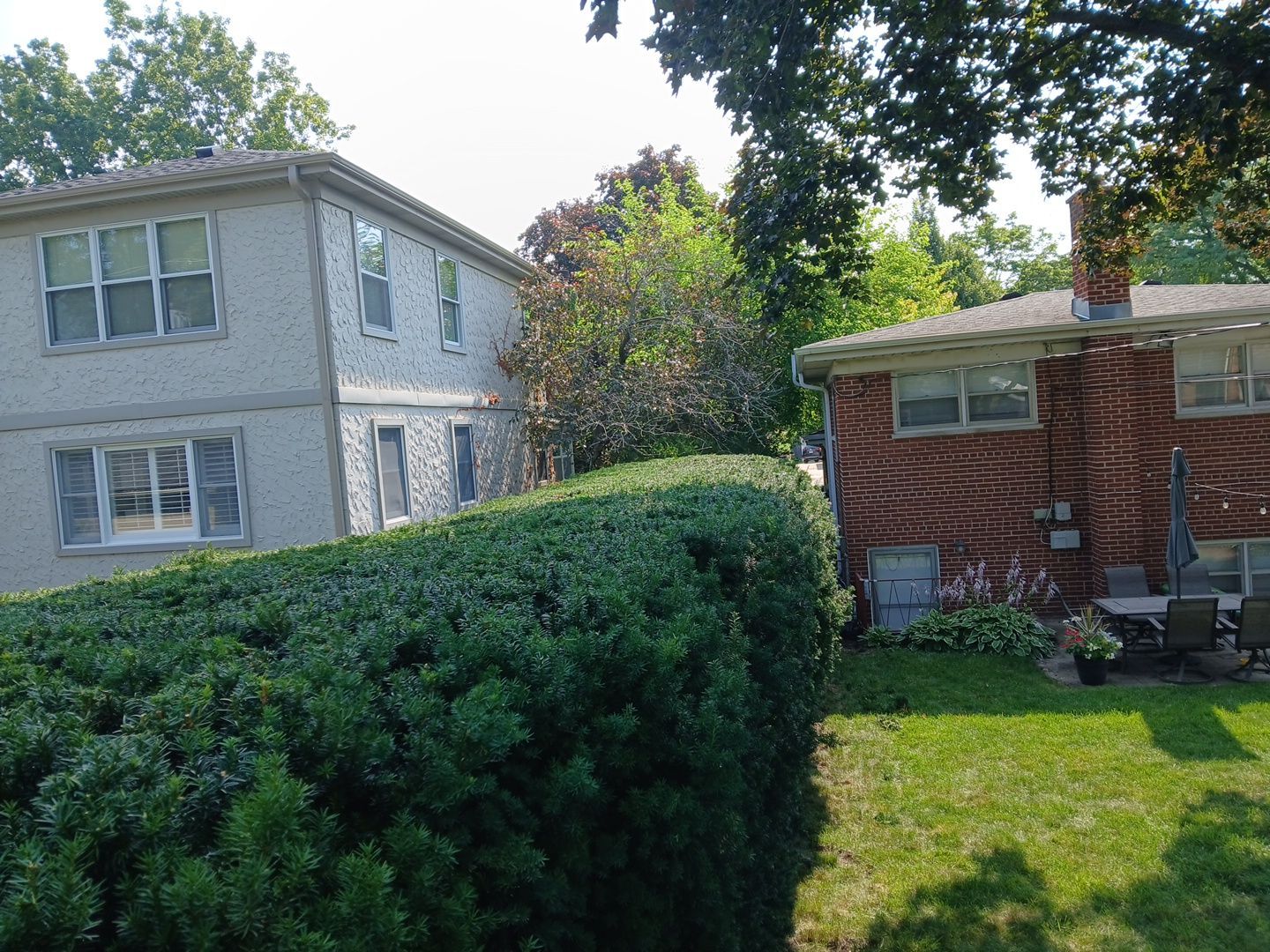 Suzanne V. - Mount Prospect, IL by A&N 