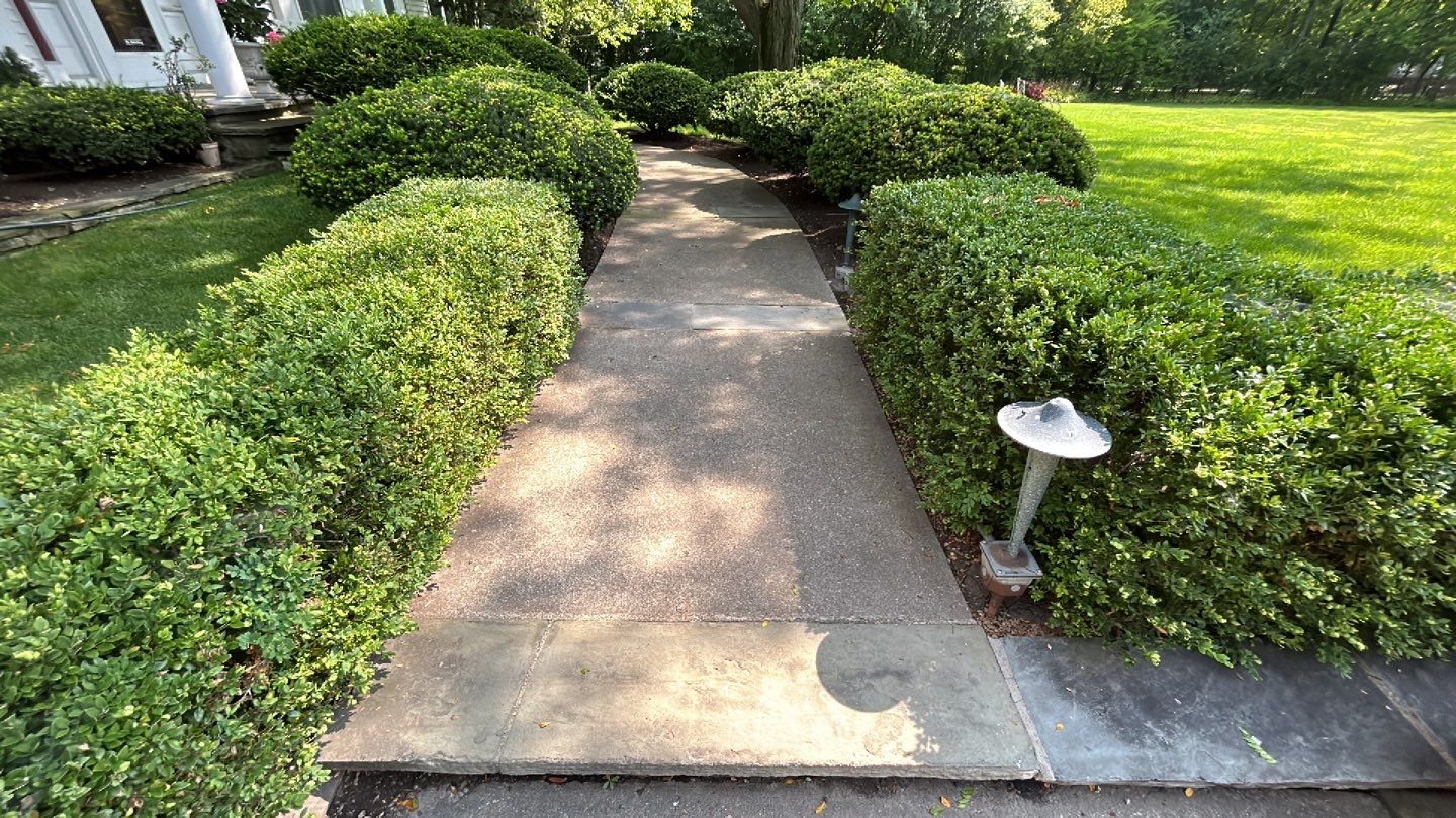 Housewashing  using Algaecide, soft wash soap by Northern Power Washing LLC.
