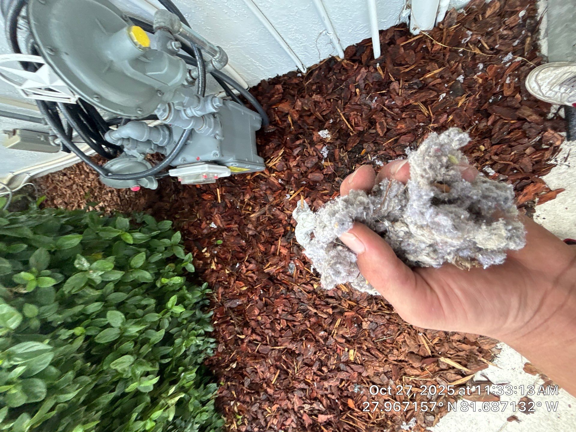 Air Duct and Dryer Vent Cleaning in Winter Garden by Hygienic Air, Inc