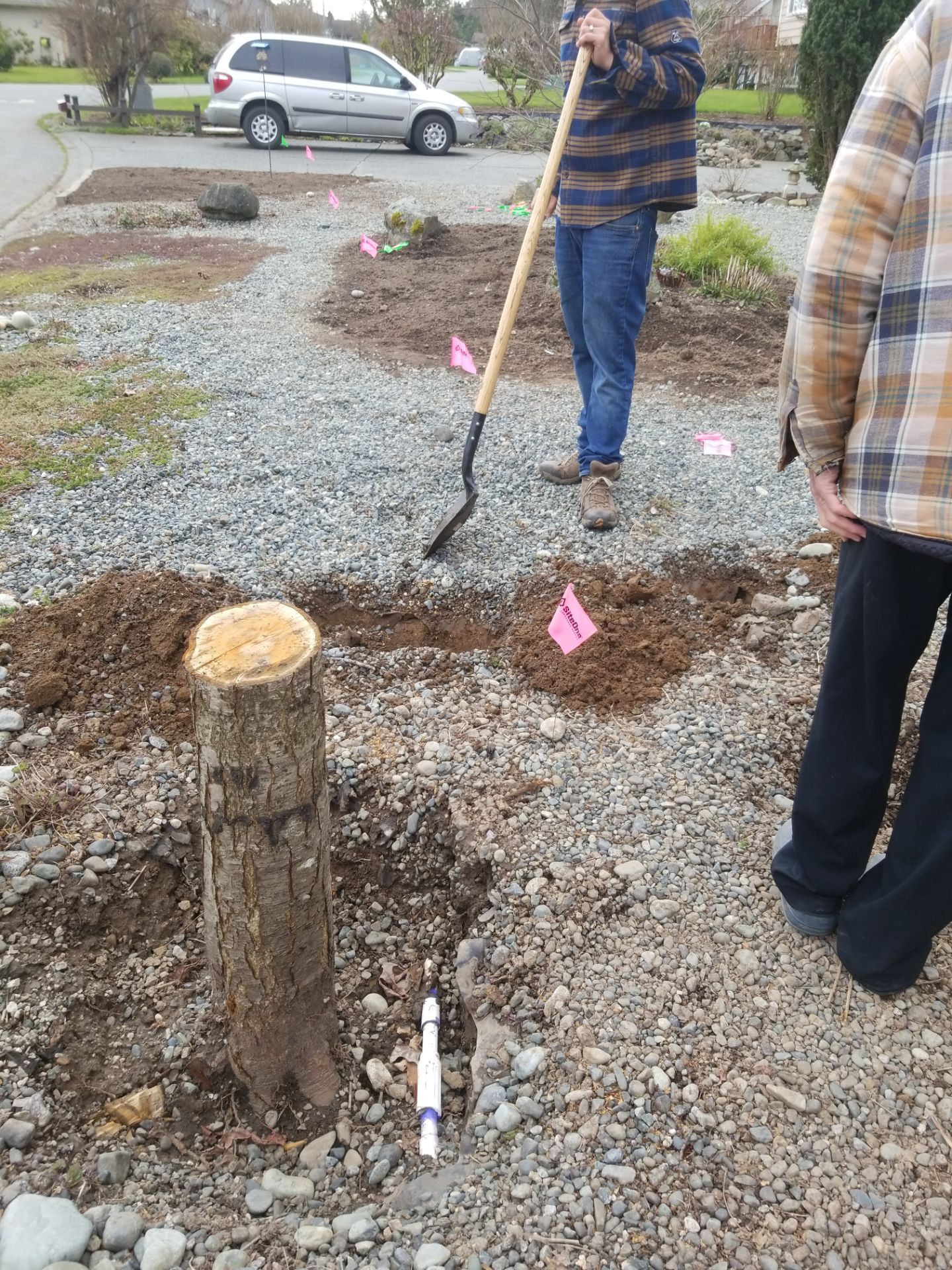 Emerald Cedar Hedge and Irrigation Installation – Enhancing a West Coast Front Yard by Habanero Garden and Exterior Care