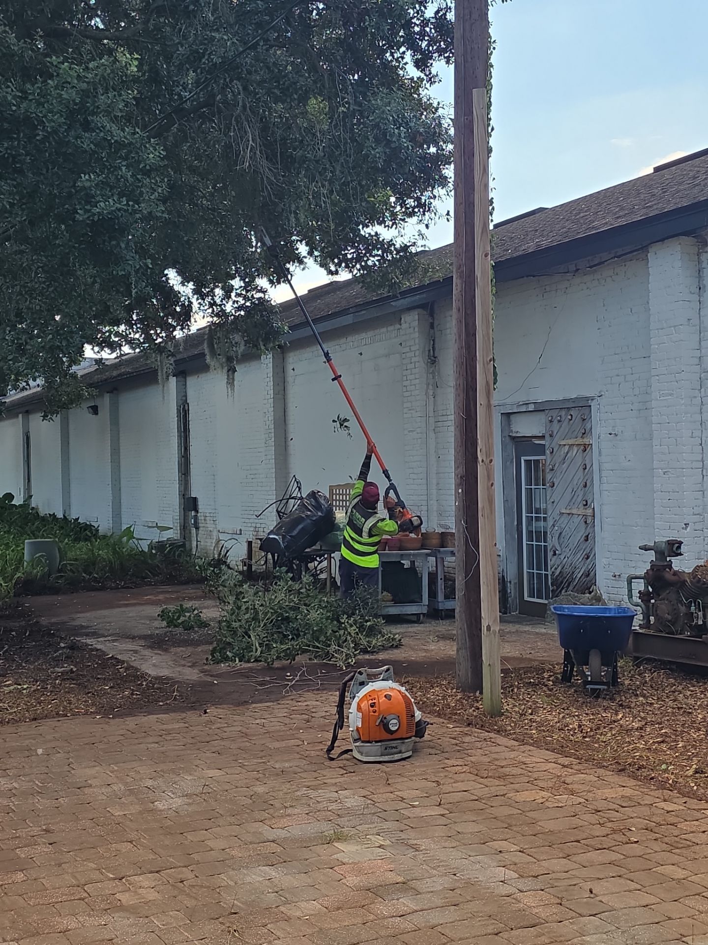 Commercial Property | Clean Up & Tree Removal by ProGreen Services