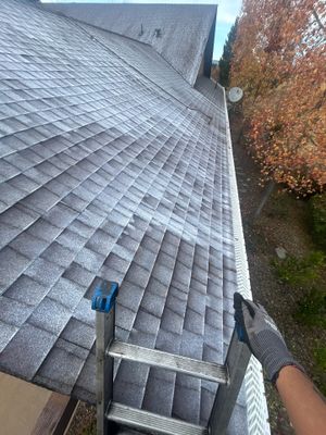 Roof Rejuvenation using Roof Maxx Treatment
