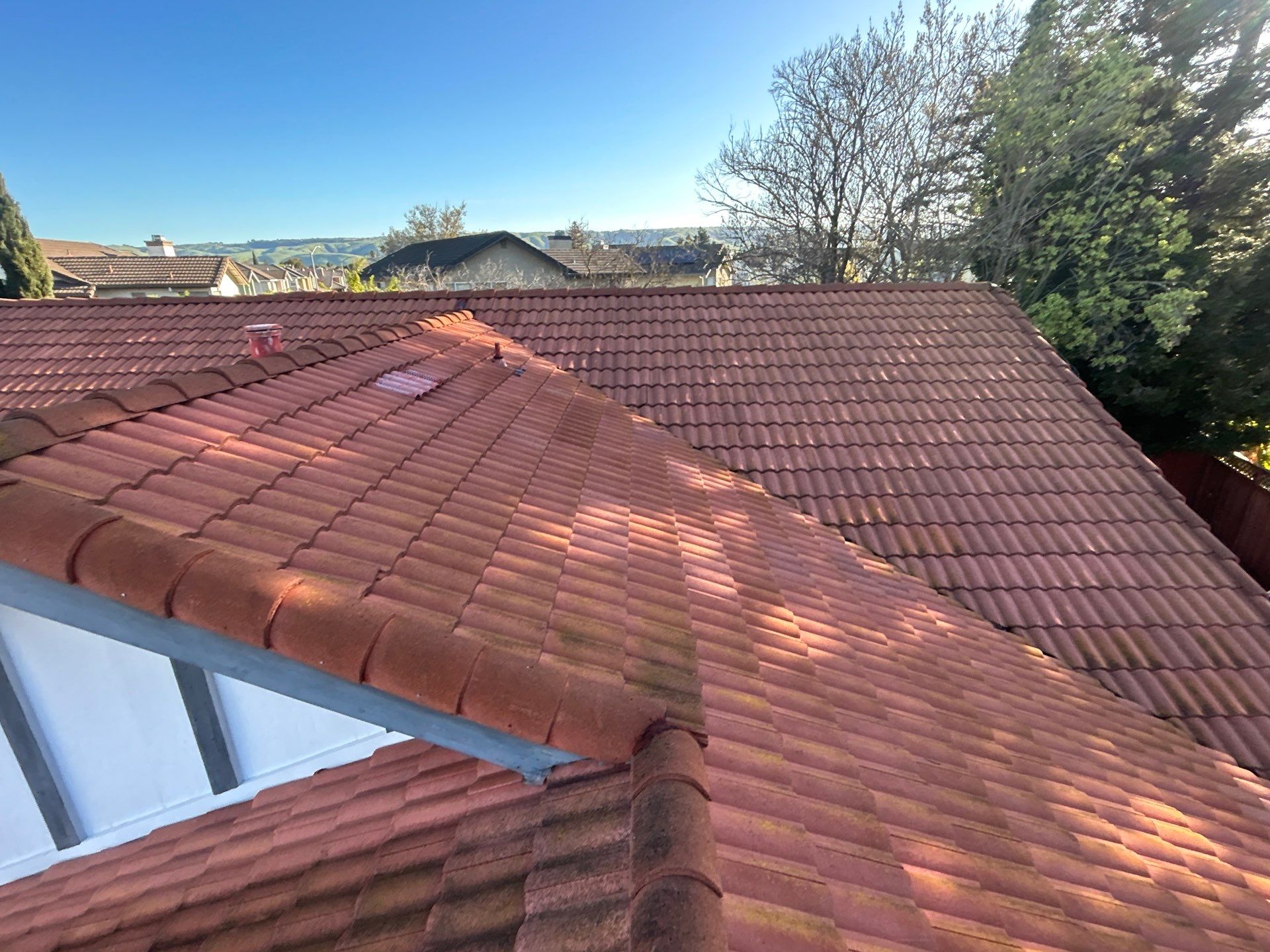 Insurance Renewal-Roof Cleaning by All One Solar Shine