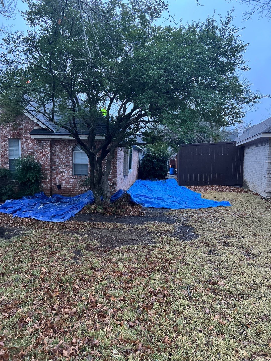 Project in Allen by Armor Roofing | Exteriors