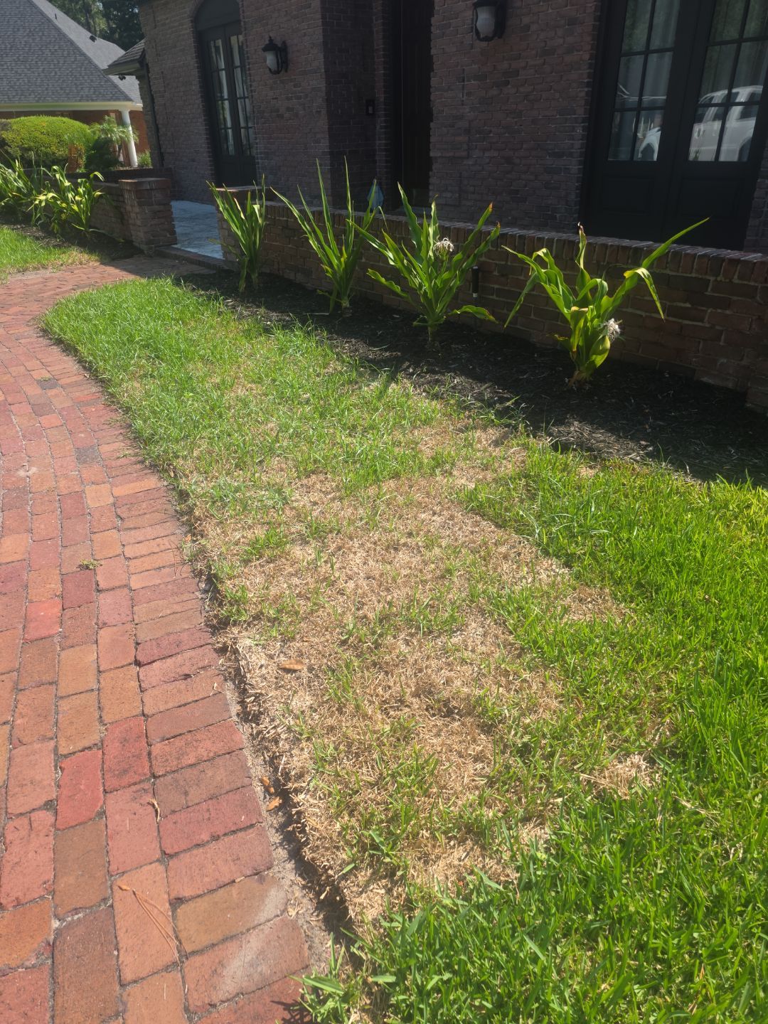 Deerwood Resident | Sod & Palm Replacement  by ProGreen Services