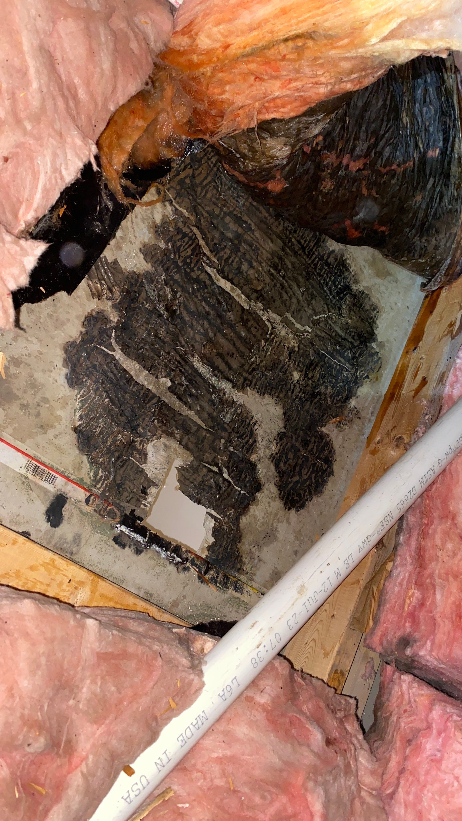 Mold and Water Damage in Belaire Ohio Home  by Home Environment Solutions