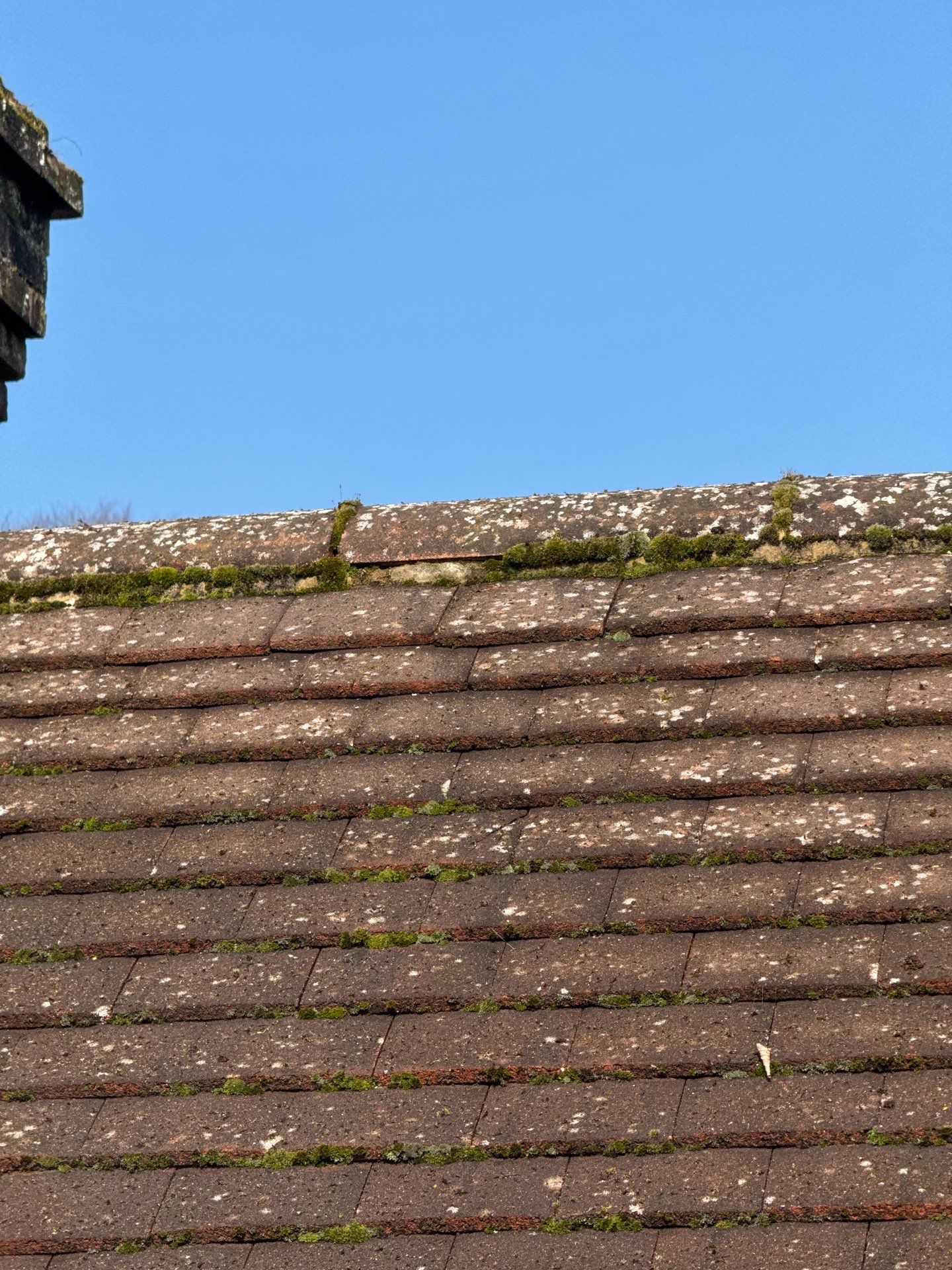 Roof Clean  - Moss Removal - Gutter Clean using Honda 15lpm Low Pressure Washing Machine by Ges Exterior Cleaning ltd
