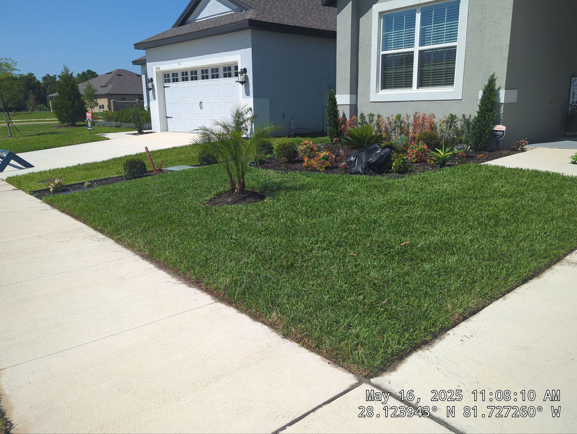 Complete Lawn Restoration with St. Augustine Sod by 
M.A.B. Landscaping & Property Maintenance