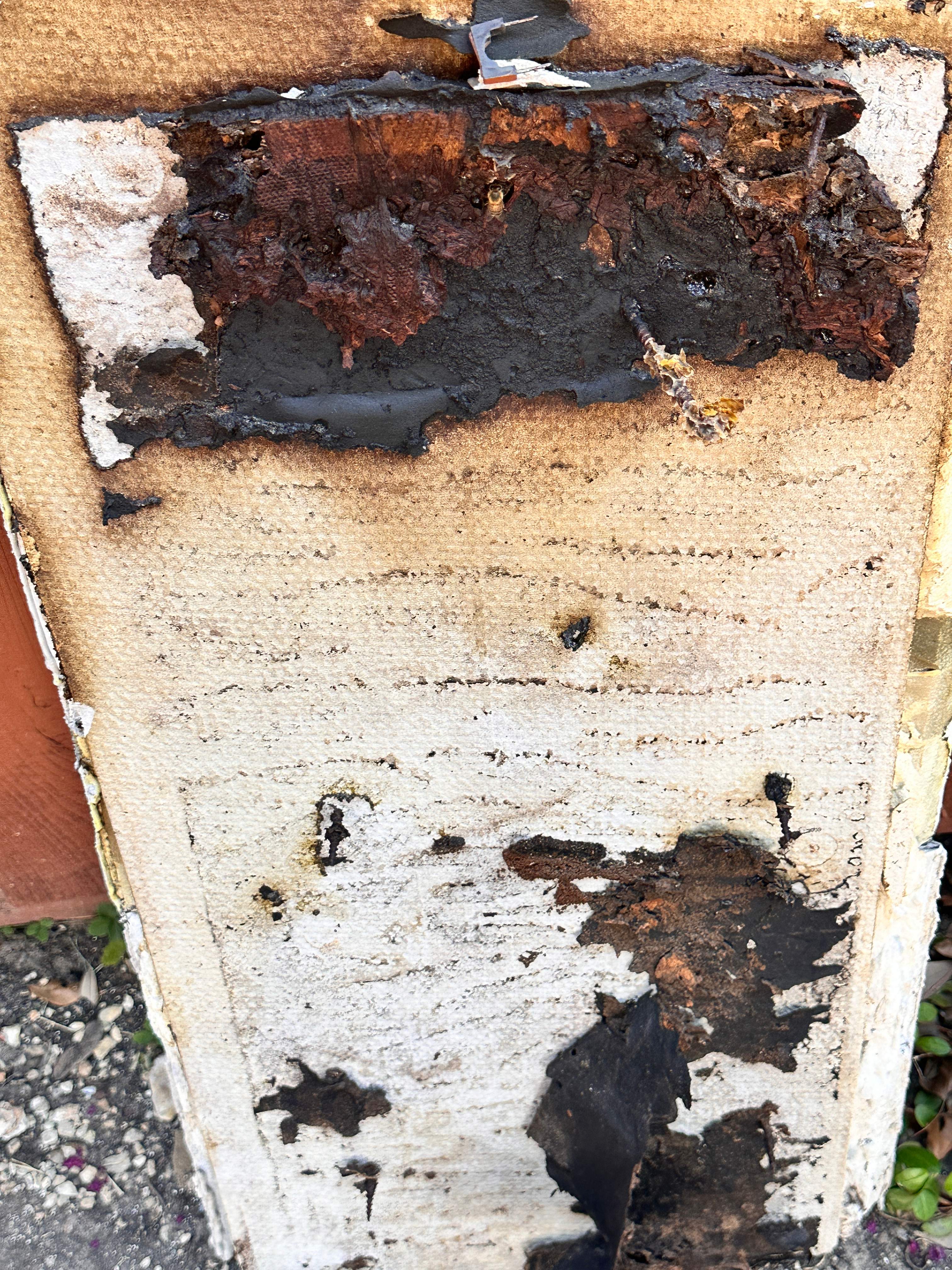 Scary Pergola by Rockwall Honey Bee Company