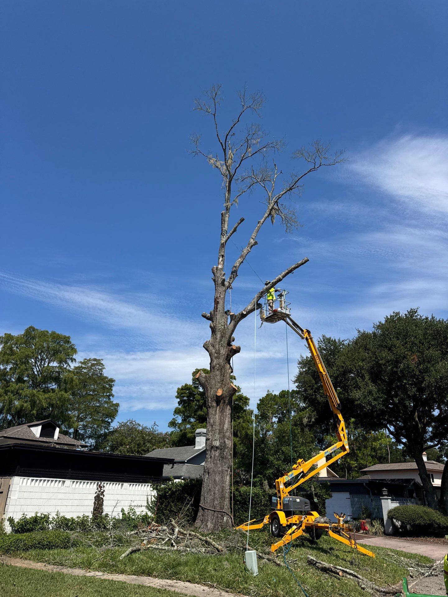 Deerwood Resident | Tree Removal by ProGreen Services