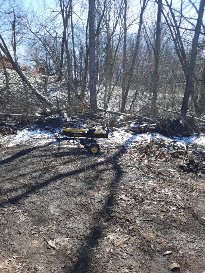 Tree Removal using Tree Removal by Mike Jones & Sons Tree Service LLC 