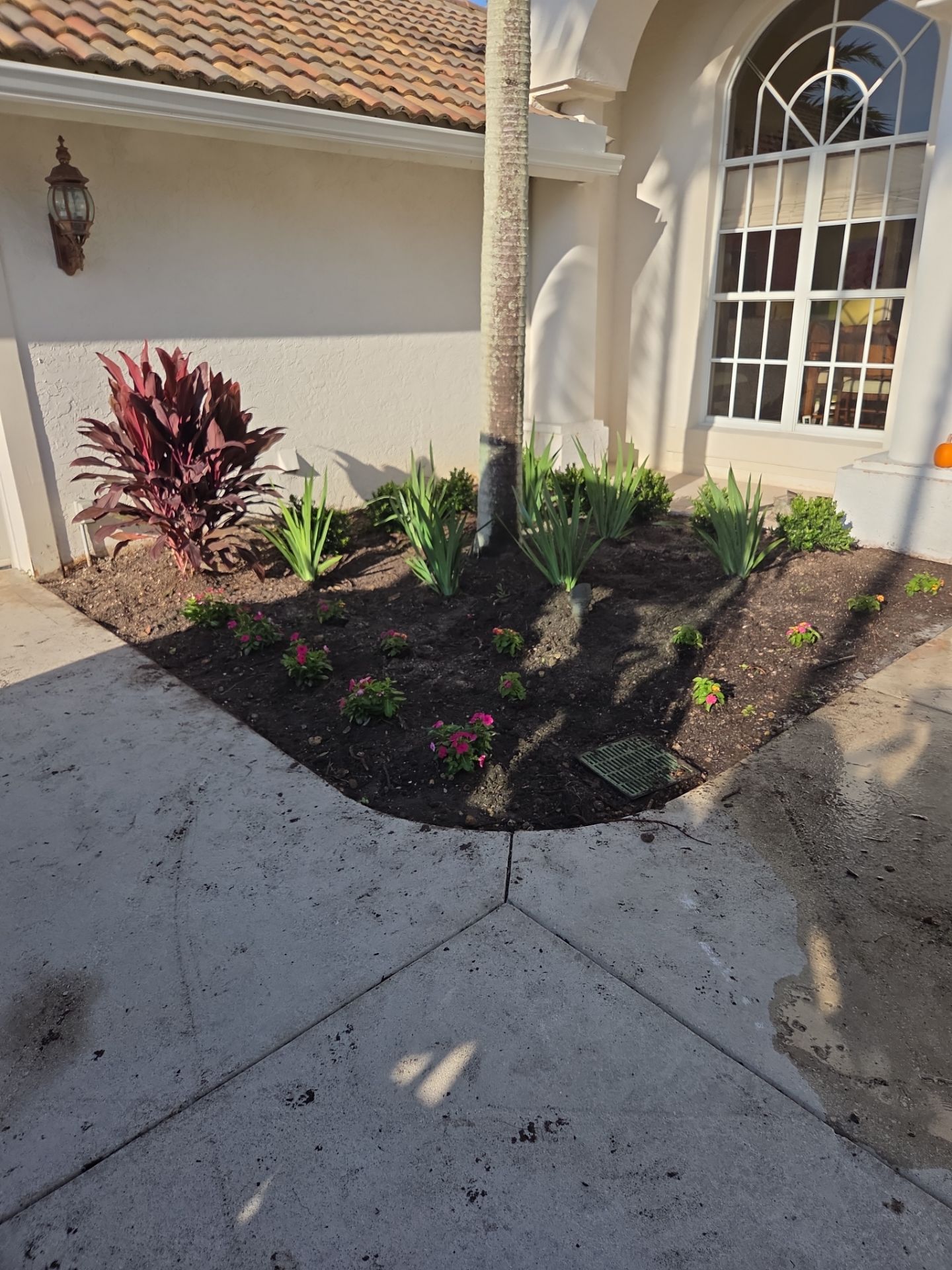 🌴 Landscape Removal and Install in Palm City by Alpha Zeta Enterprises Inc