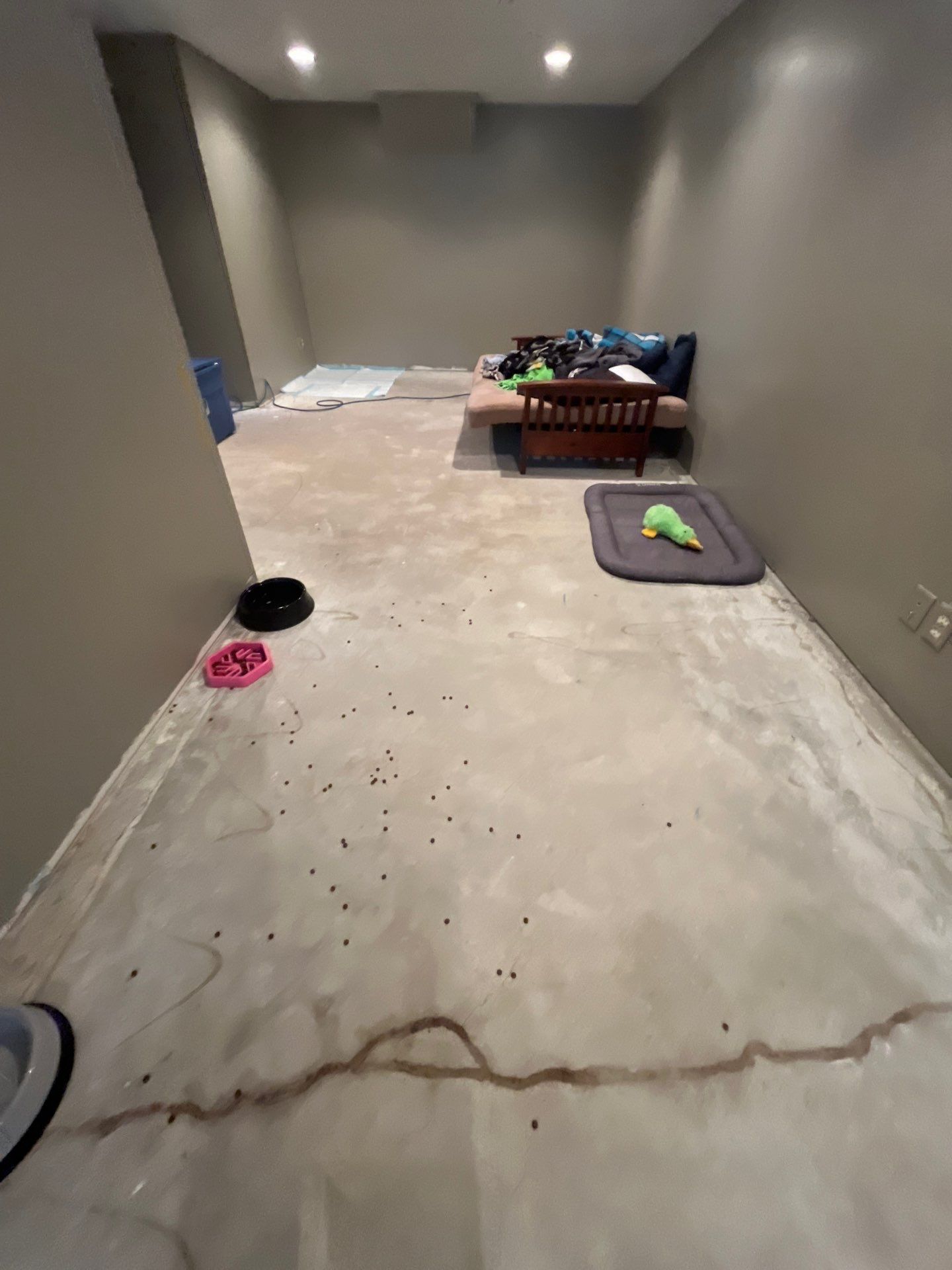 Custom Multi-Fleck Epoxy Floor Coating for Residential Basement by Select Painting, Coatings & Garage Cabinets