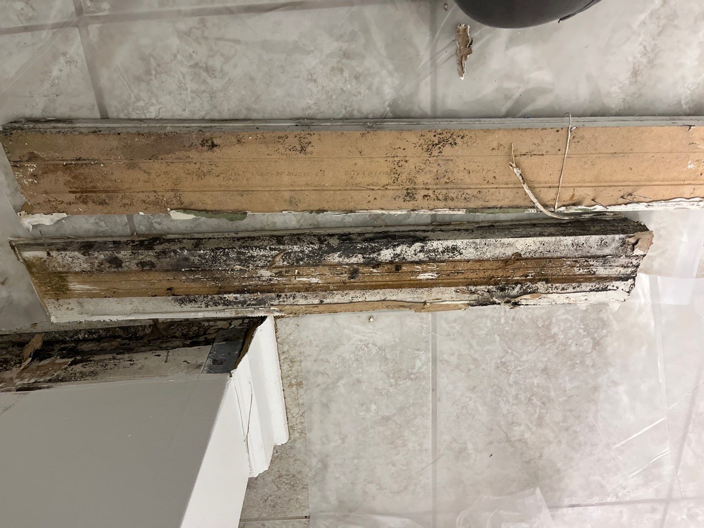 Mold Remediation plus Construction by EAS Environmental, LLC.