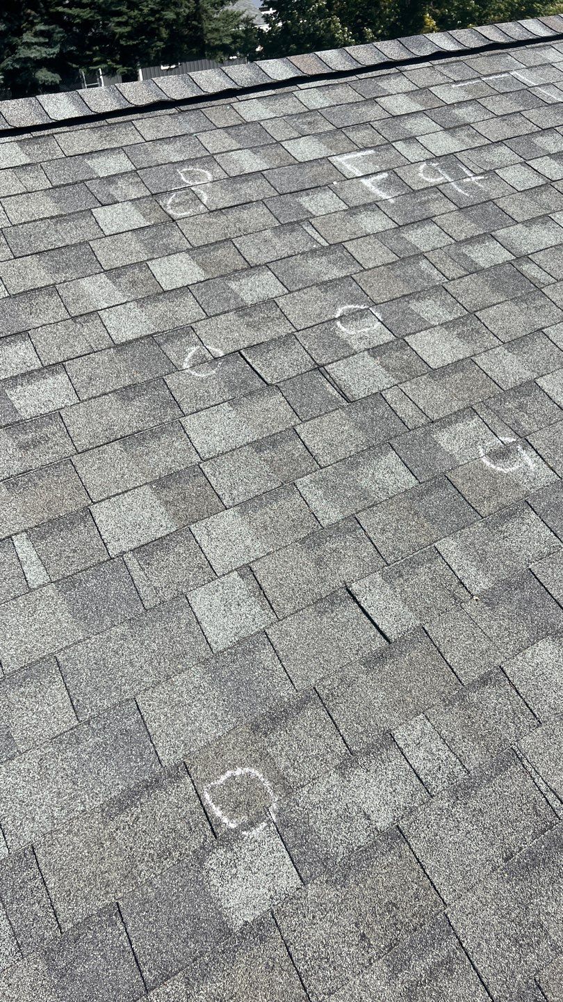 Owens Corning TruDefinition Duration - Estate Gray by Montana Roofing Solutions