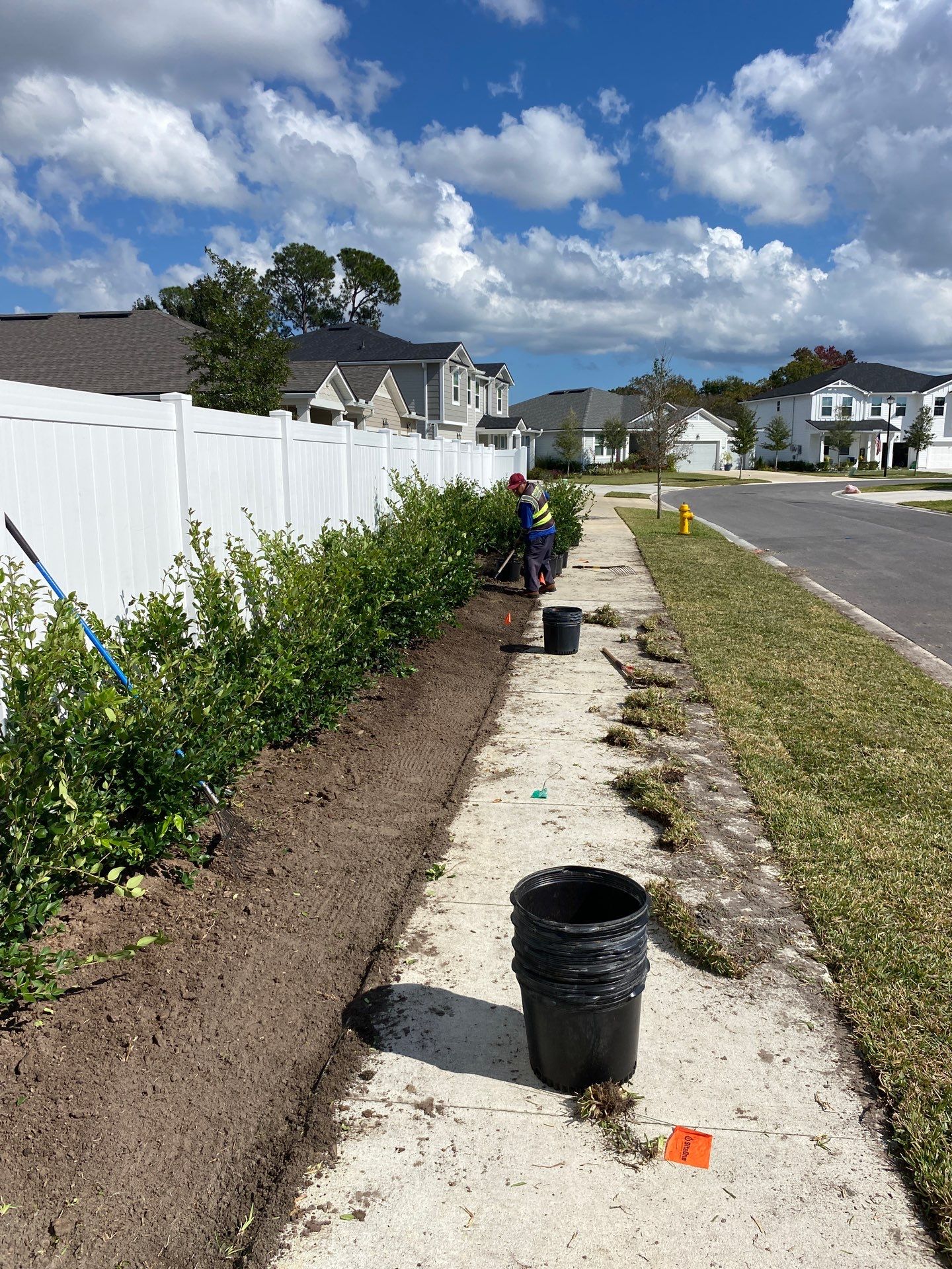 Sod & Shrub Install | Residential  by ProGreen Services