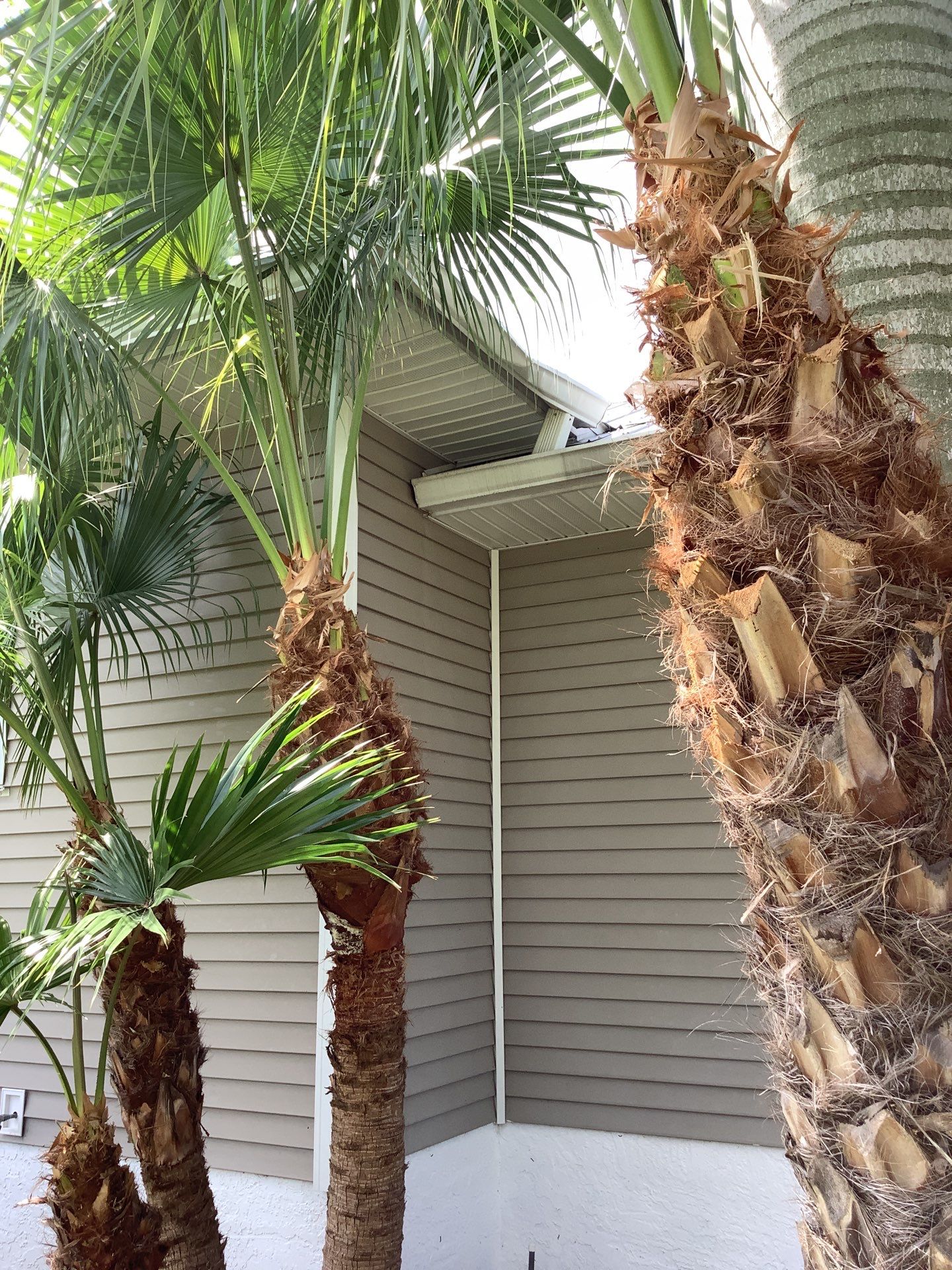 Gutter Repair and Replacement in Fort Myers FL by Gutter Professors
