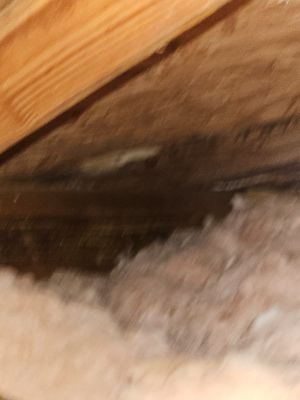 Residential Roofing Inspection 