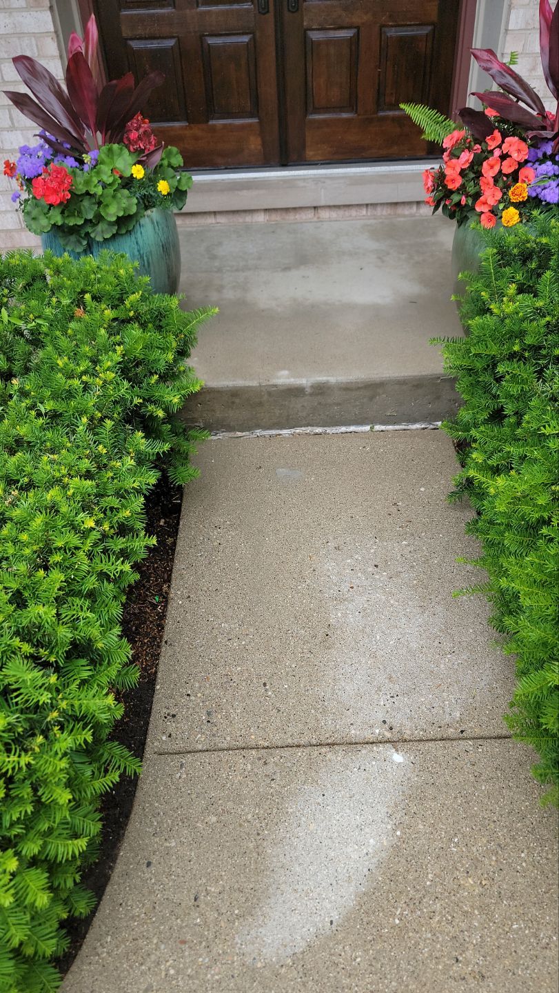 concrete power washing Algaecide, soft wash soap by Northern Power Washing LLC.