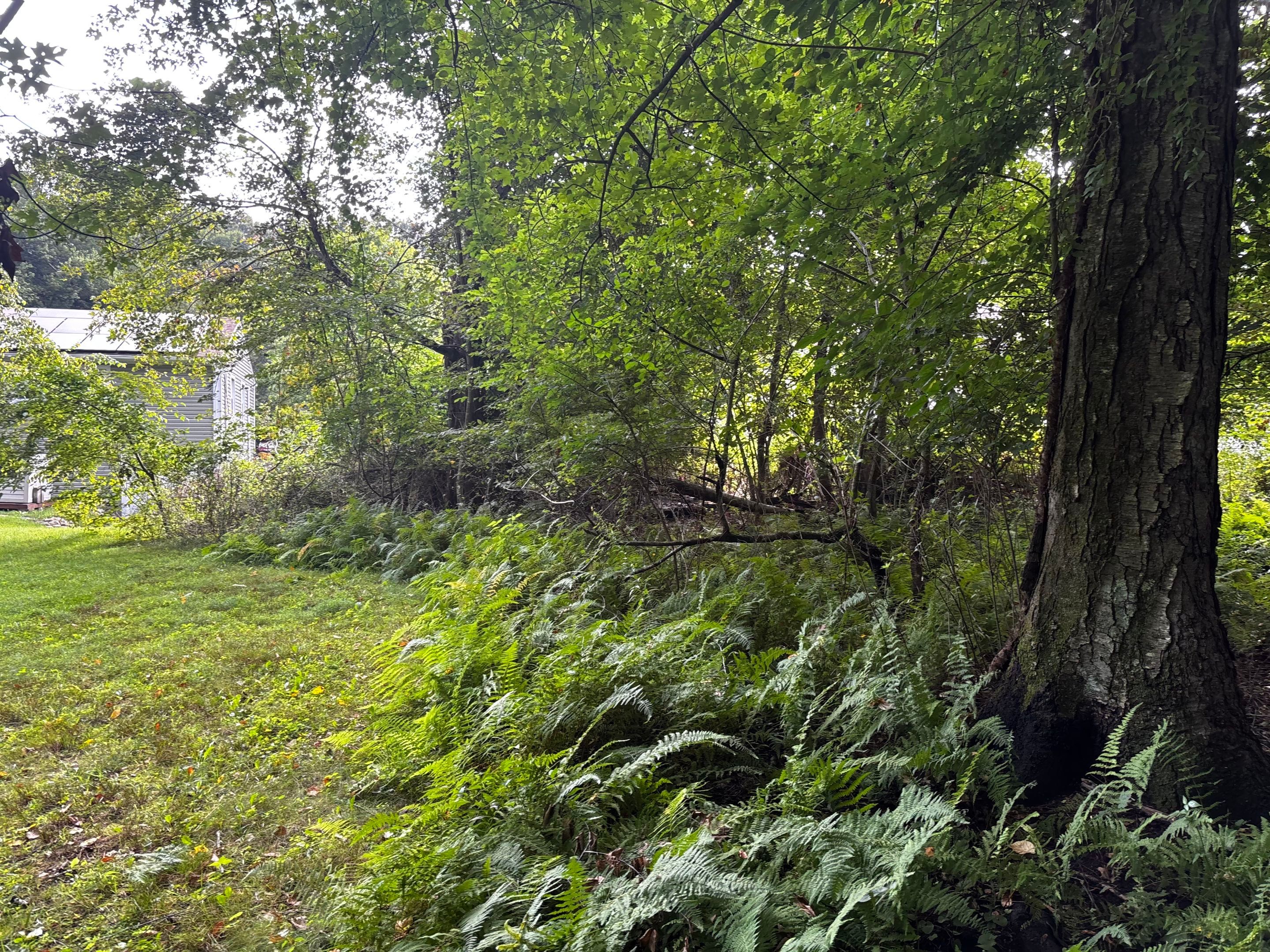 Project in Lisbon, CT by S&J Landscaping LLC