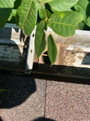 Turtle Shell gutter protection installation in Joliet, IL 60435, photograph 7