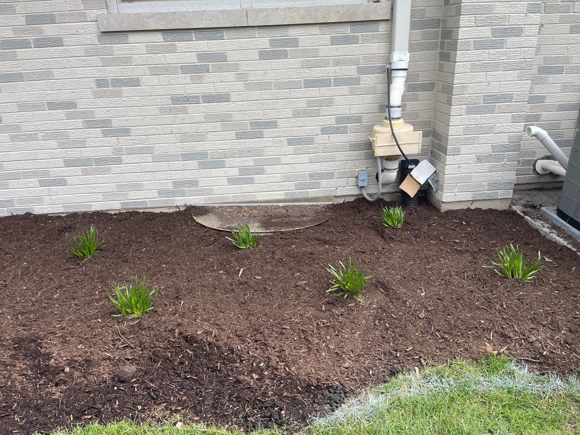 James F. - Arlington Heights, IL by A&N