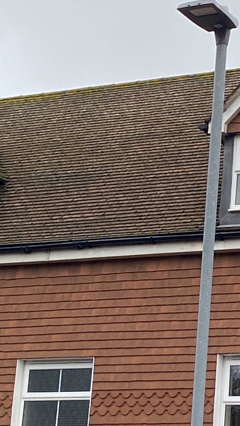 Roof Clean using Mosmatic FSC and Biocide by Ges Exterior Cleaning ltd
