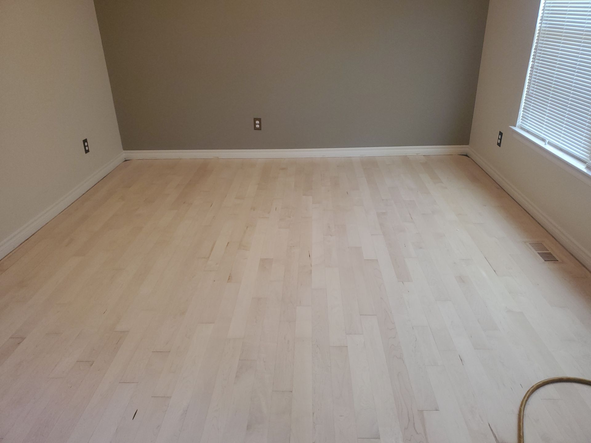 Stained Maple  by Ann Arbor Hardwoods 