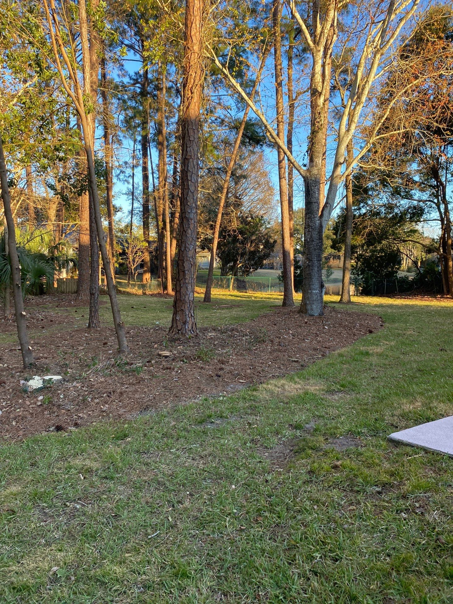 Deerwood Resident | Tree Removal & Clean-Up by ProGreen Services