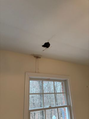 Ceiling Patch Near Cape Girardeau