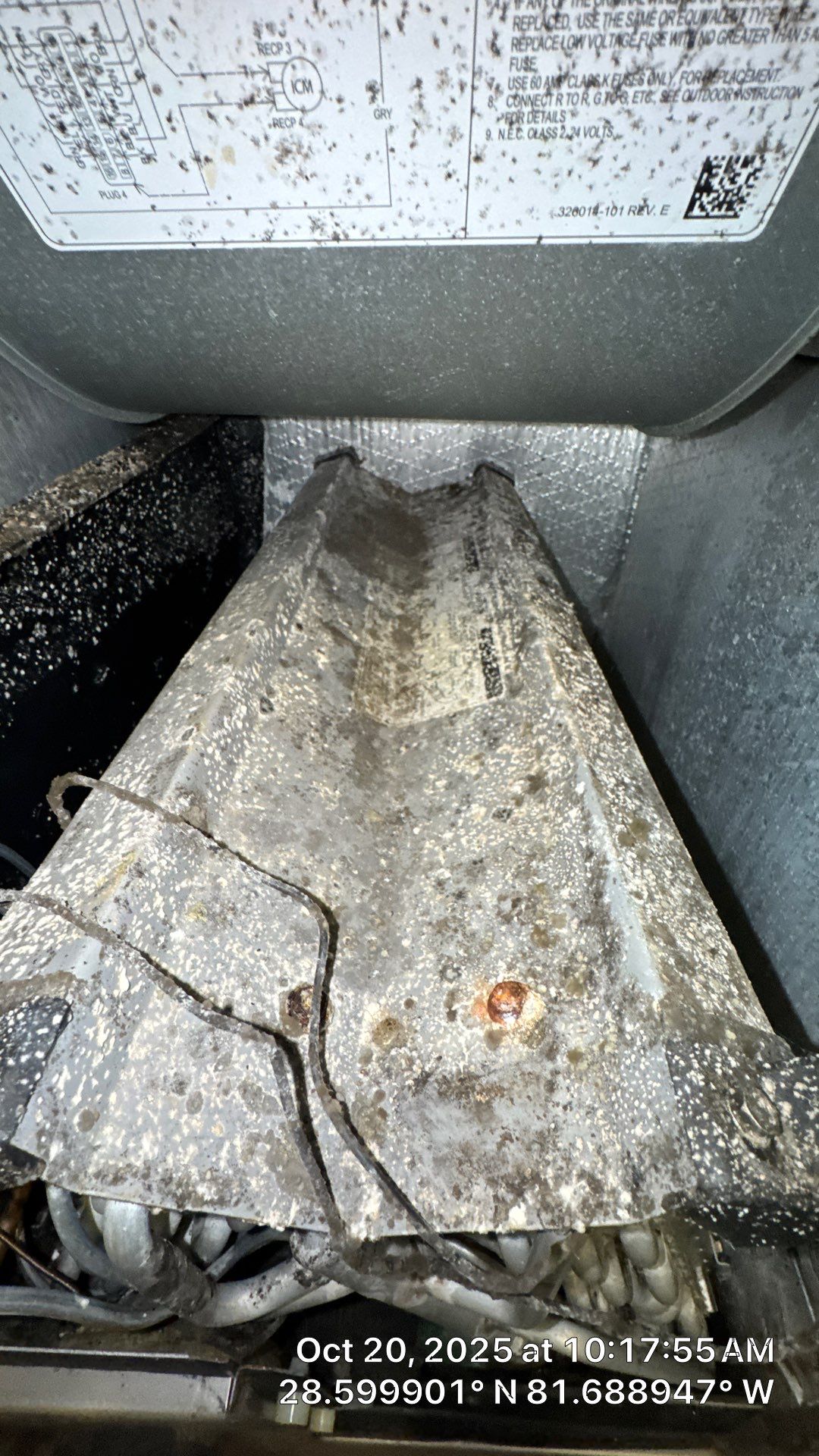 Air Duct Cleaning in Montverde by Hygienic Air, Inc