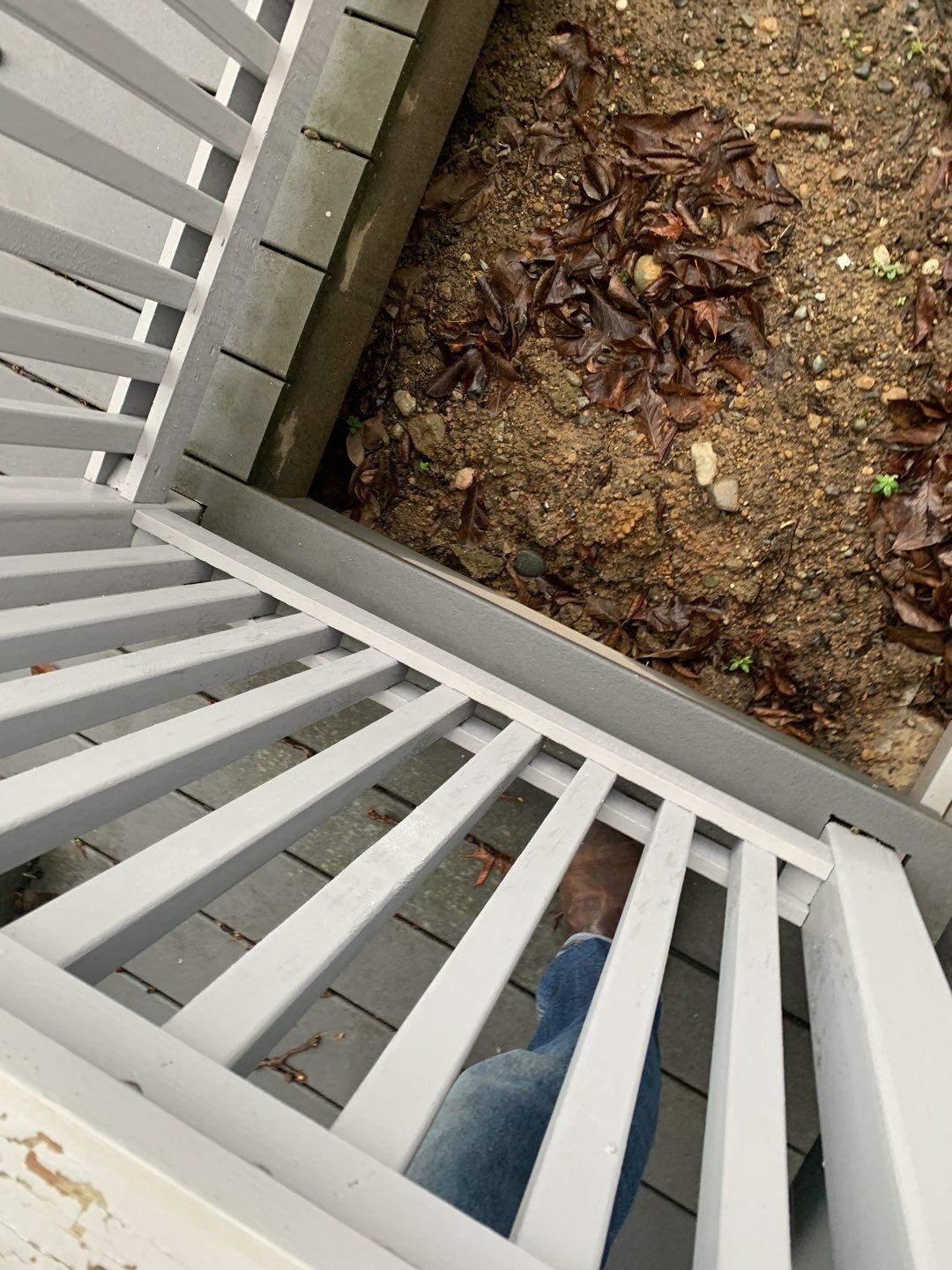Tangletown Trex Resurface by Alki deck builders