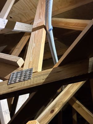 Project in Wellington