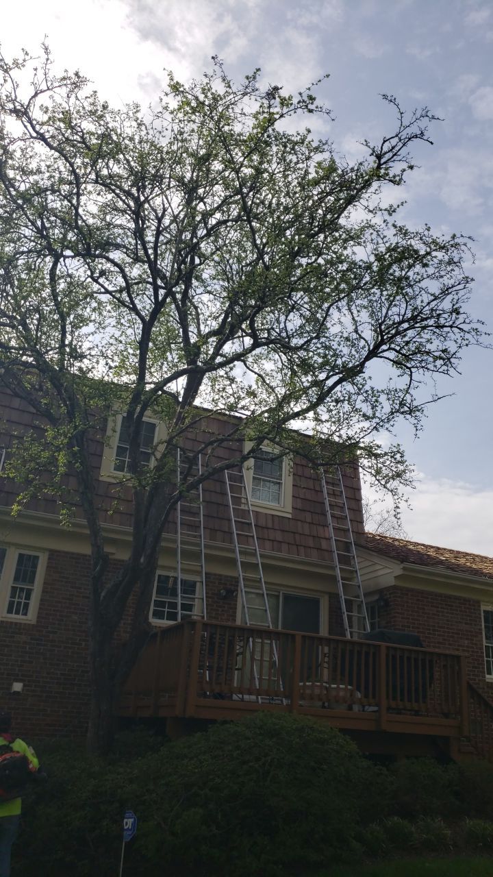 McLean Cedar Shake Roofing Project  by RM Banning, Inc.