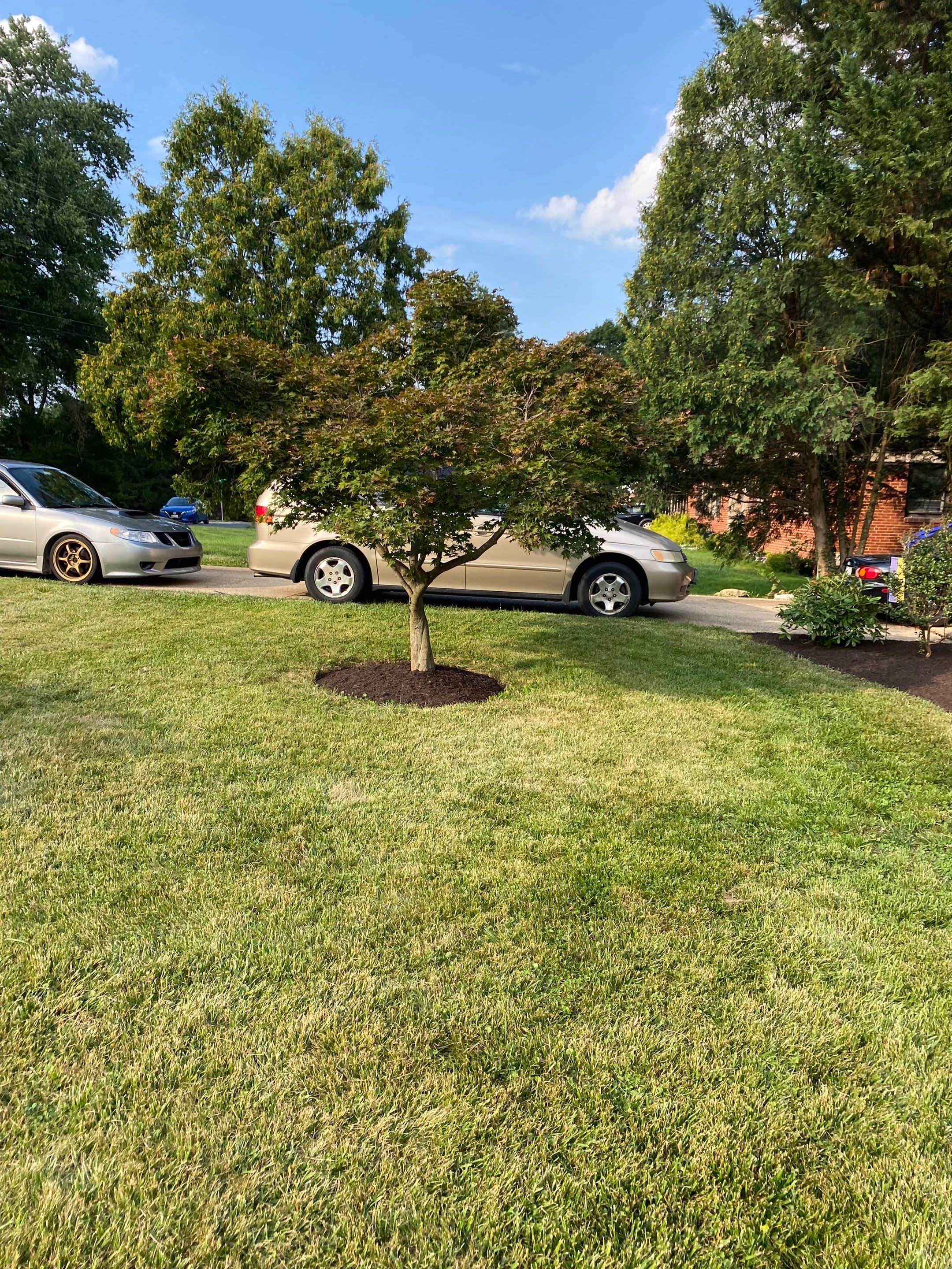 Landscape cleanup by The Smet Companies, LLC
