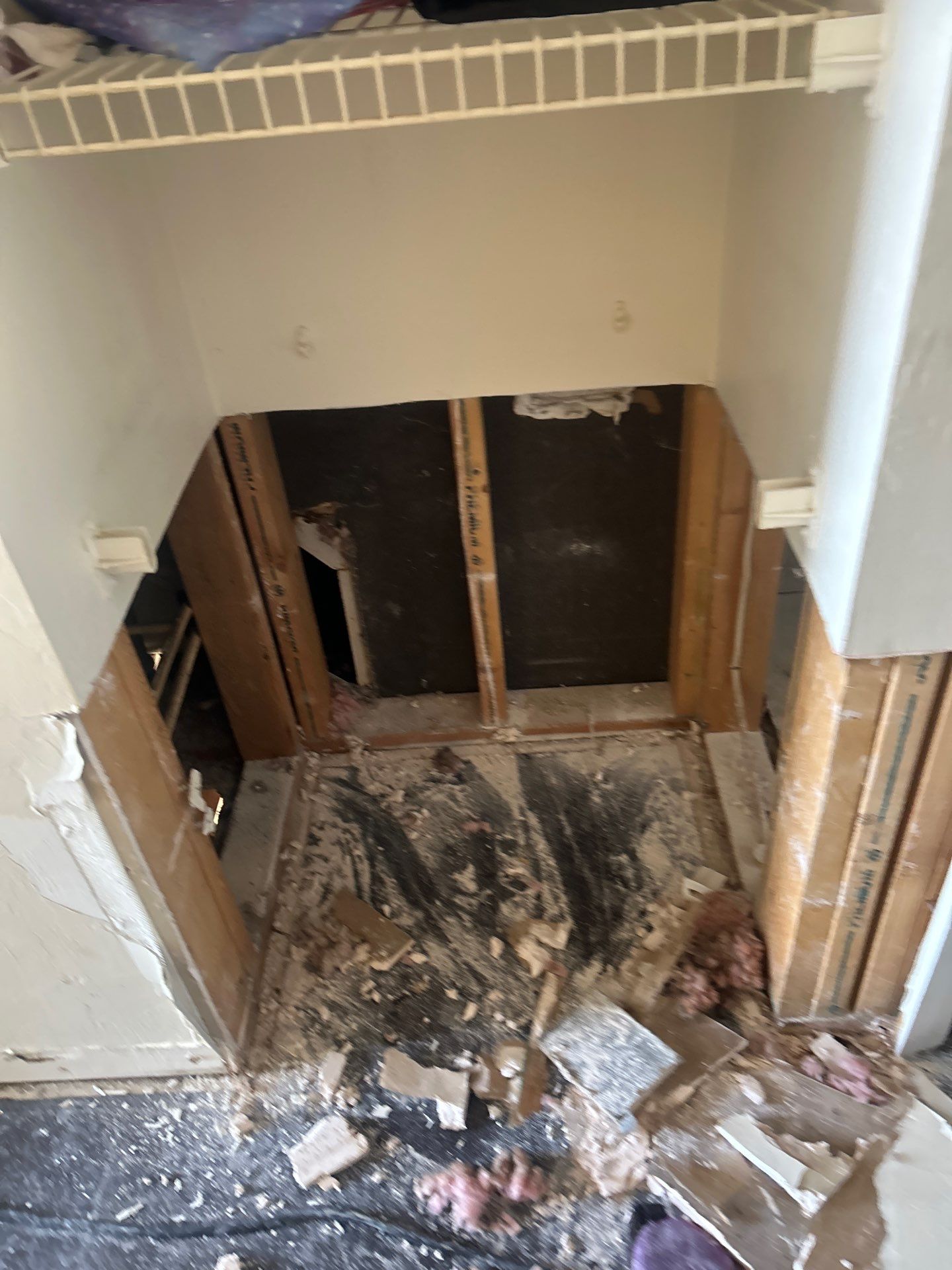 Cape Coral Water Damage Restoration by Ampm Restoration Services