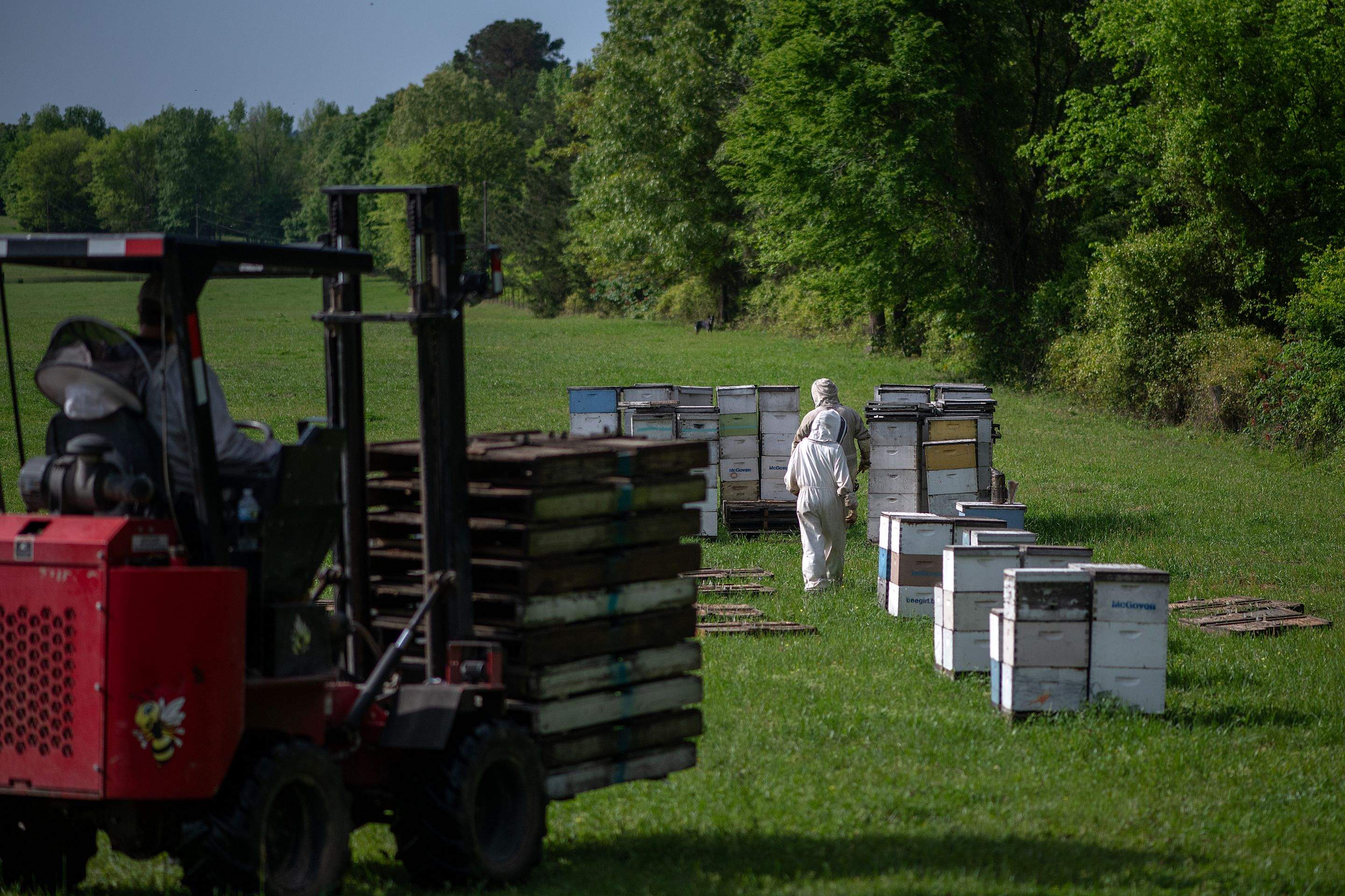 Splits in East Texas by Rockwall Honey Bee Company