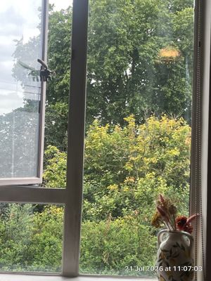 Replacement White Windows and Frame Installation in London