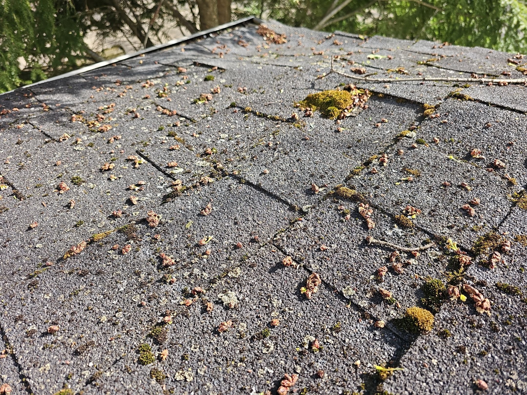 ATLAS PINNACLE COLOR: BLACK SHADOW by Eagle Eye Roofing