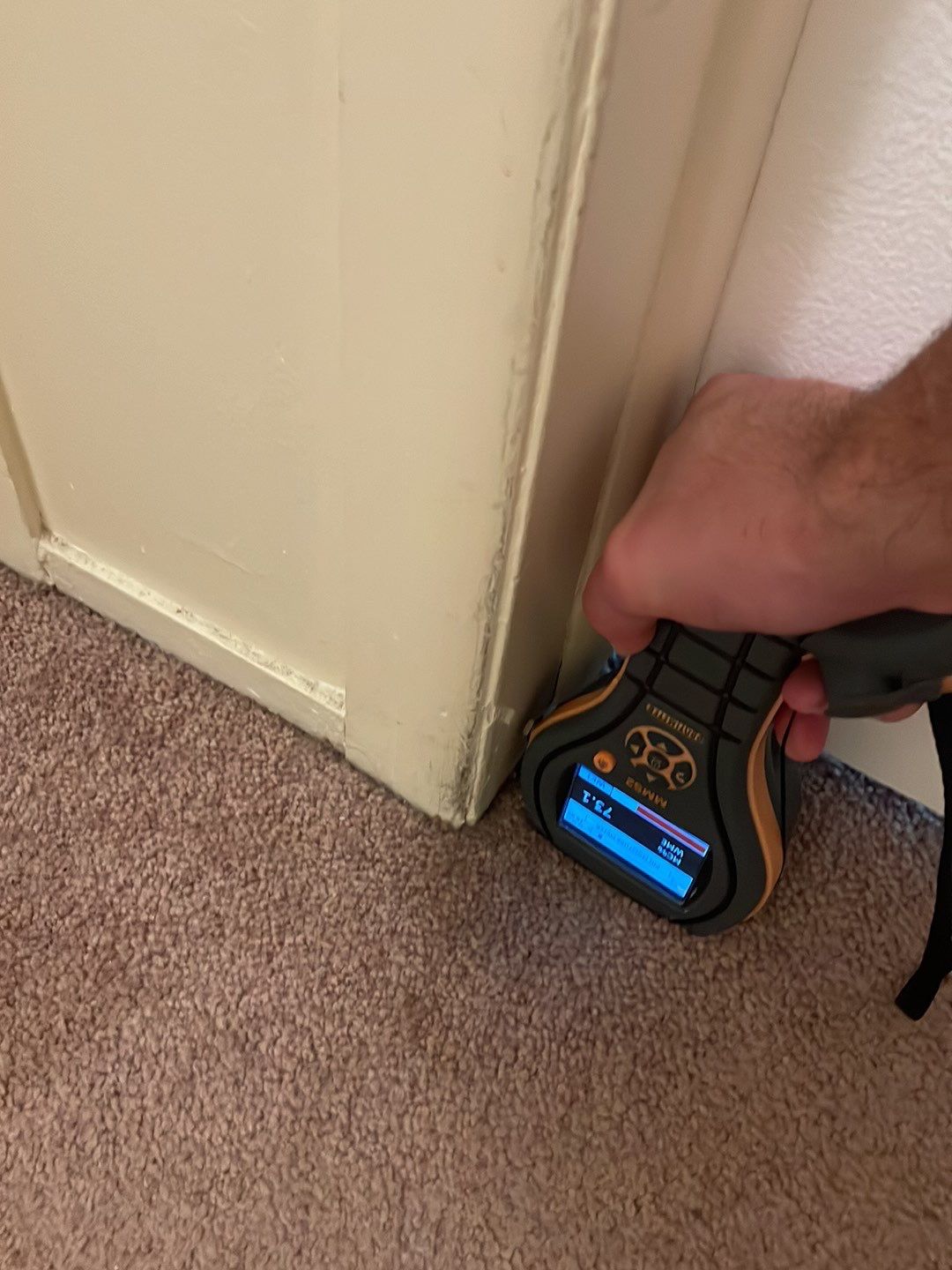 Project in Fraser by EzDry Water Mitigation & Property Restoration