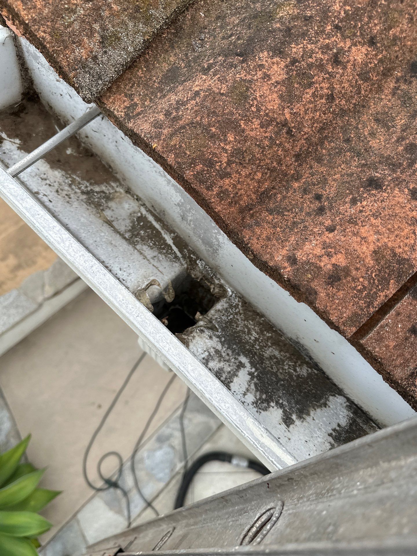 Orange County gutter cleaning using a vacuum by Property Cleaning Experts, LLC