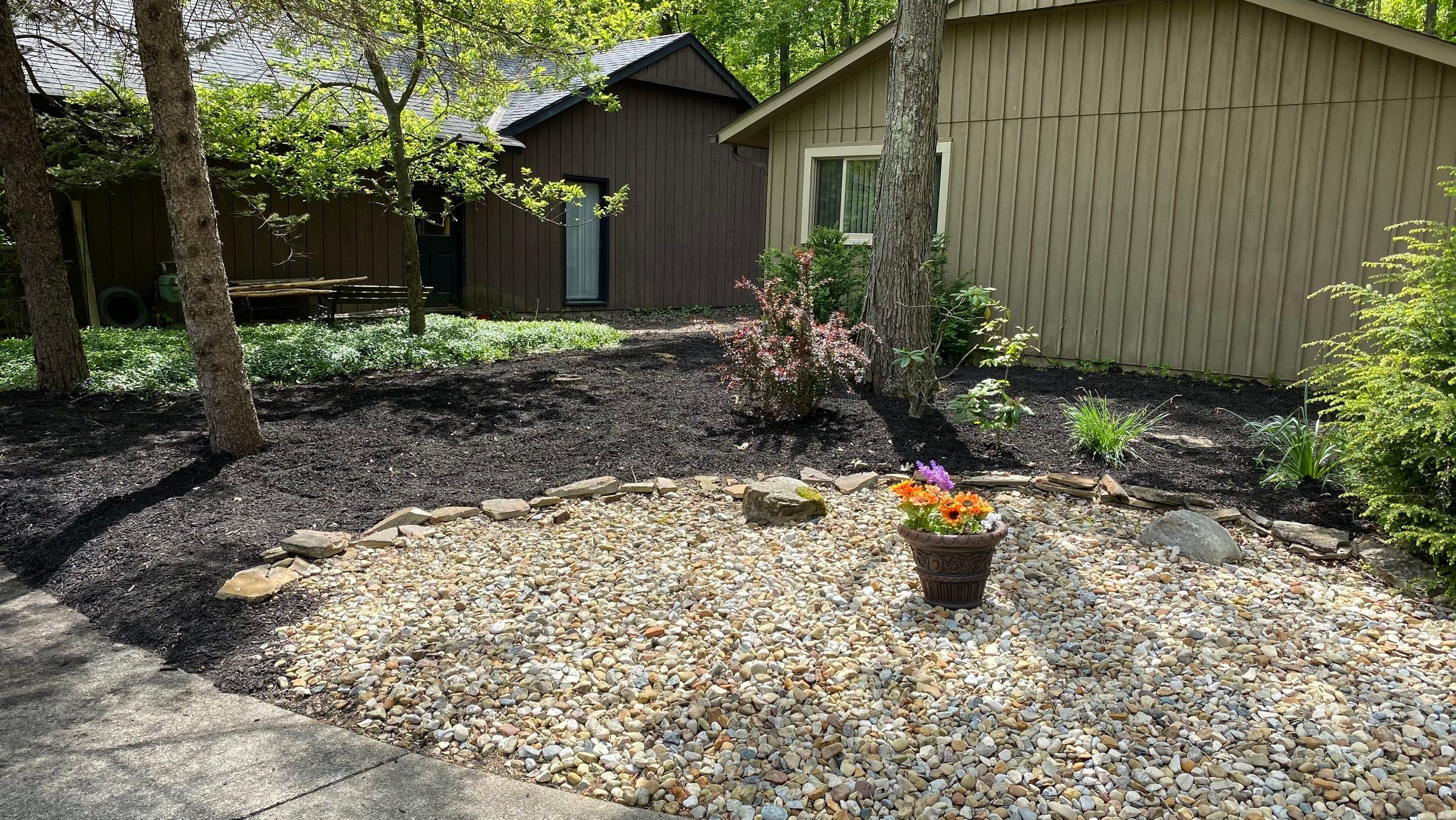 Mid-Century Woodland Project by Elm Rose Gardens